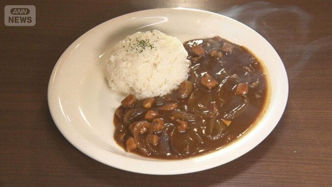 新橋500円カレーランチ人気 物価高でも低価格維持なぜ？　カレーライス指数は最高水準 1枚目