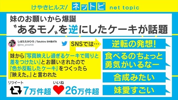 色を反転させるとショートケーキに!? 衝撃的なビジュアルの“映えすぎるケーキ”がSNSで話題 1枚目