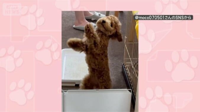 ねえ、見て！見て！！