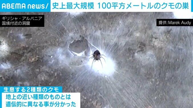 ギリシャとアルバニアの国境付近にある洞窟