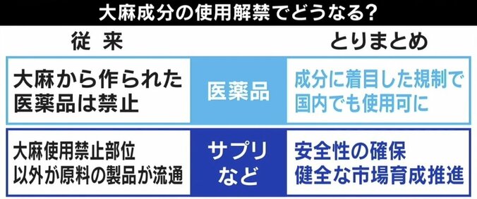 「脳の切除手術直前だった」生後3カ月で点頭てんかん発症…法律は時代遅れ？ 医療用大麻解禁に期待の声 7枚目