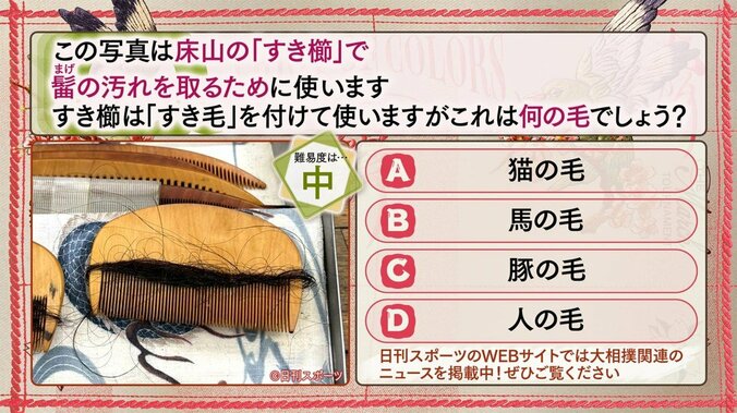 【写真・画像】ABEMA大相撲センター試験 2026年三月場所　6枚目