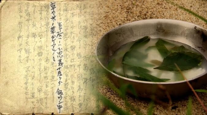 「生キテイルノハ不思議ナクライダ。飯ワン中 草ヤ木ノ葉ダケアルノミ」冨五郎さんの日記より