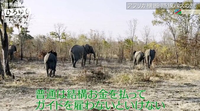 「電気も水道もない家の人が教育の重要性をわかっている」ひろゆき、ナミビア人の考え方に共感 3枚目