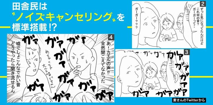 「ガーガー」という音色は騒音？それとも無音？“田舎あるある”エピソードが話題に