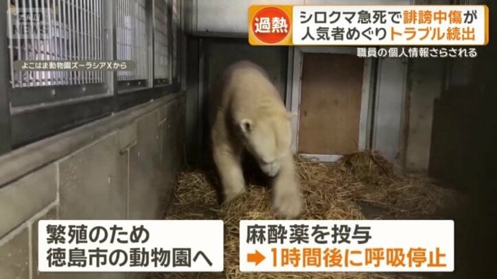繁殖のため移送しようと…