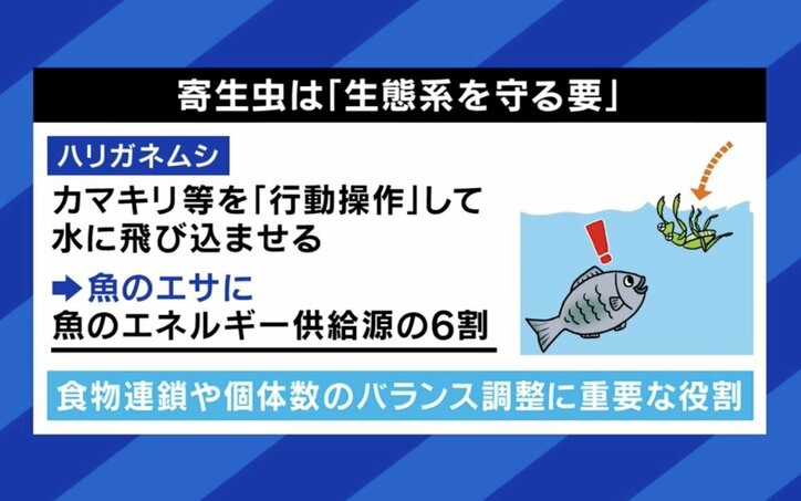 生態系を守る要