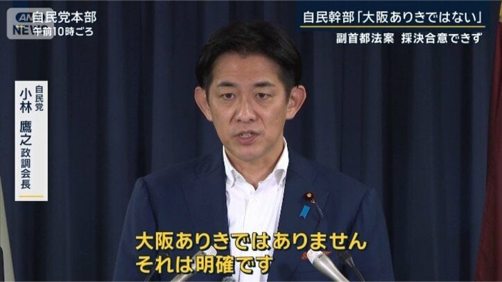 自民党 小林鷹之政調会長