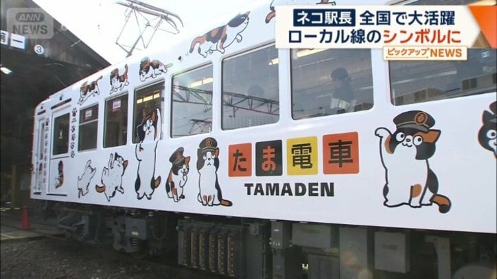「たま駅長」をモチーフに改造した電車