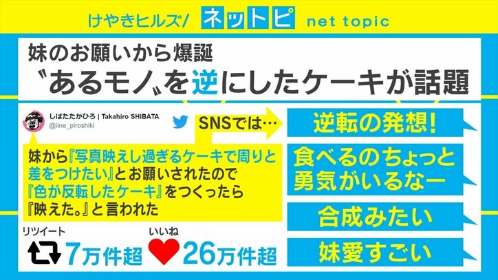 色を反転させるとショートケーキに!? 衝撃的なビジュアルの“映えすぎるケーキ”がSNSで話題