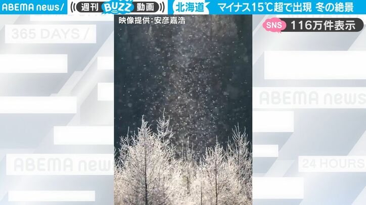 【写真・画像】マイナス15℃超で出現する珍しい現象！北海道で確認された“ダイヤモンドダスト”が幻想的すぎて話題に「なかなか撮影できない」　1枚目