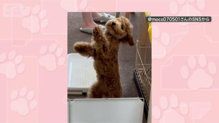 ねえ、見て！見て！！