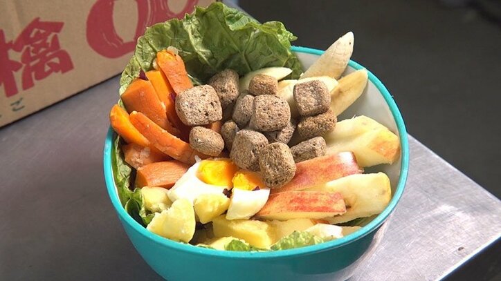 動物たちの可愛すぎる“食事タイム”に密着! ホワイトタイガーこだわりのディナーとは?