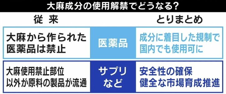 「脳の切除手術直前だった」生後3カ月で点頭てんかん発症…法律は時代遅れ？ 医療用大麻解禁に期待の声