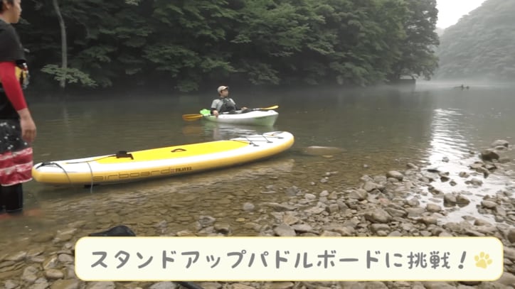 「感動だワン！」柴犬かぼすちゃん、 美しすぎる大自然の中でカヌー挑戦で