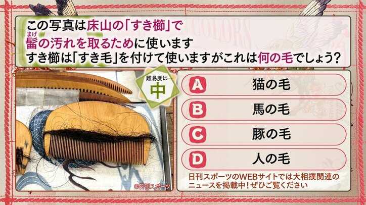 【写真・画像】ABEMA大相撲センター試験 2026年三月場所　6枚目