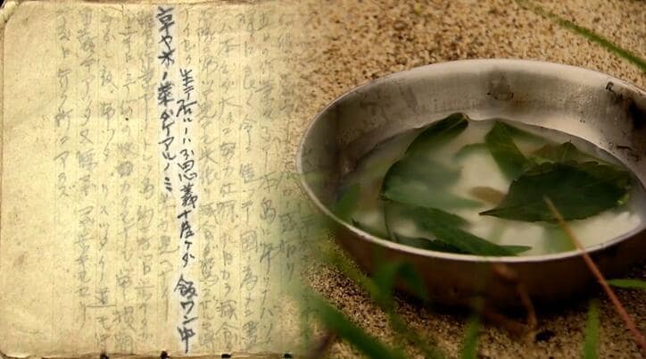 「生キテイルノハ不思議ナクライダ。飯ワン中 草ヤ木ノ葉ダケアルノミ」冨五郎さんの日記より