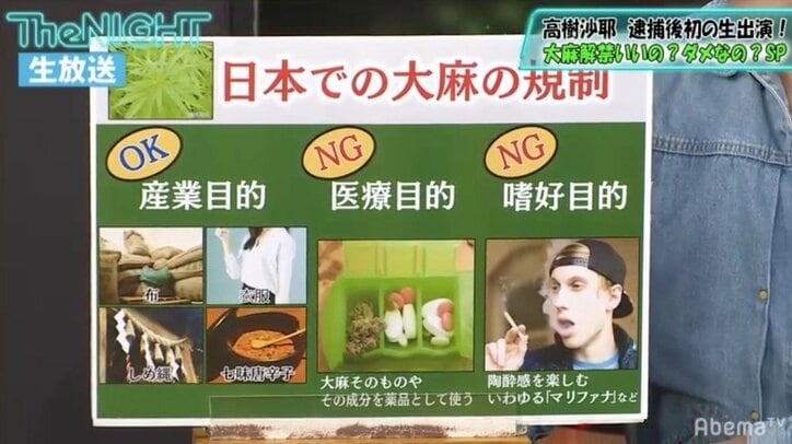 「医療大麻」は何が問題なのか、解禁の是非は? “賛成派”高樹沙耶、“反対派”フィフィらが激論