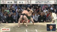 【映像】力士が思い切りちょんまげを掴む瞬間