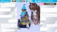 【映像】再現度が神レベル 実写版「マインクラフト」
