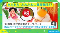 【映像】三方の上で眠るコールダック!? まるで鏡餅のような姿に反響
