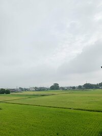 北斗晶『夏休みの私がやった研究』