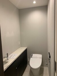 桃『新居のトイレが完成しました！！！』
