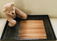 だいたひかる『いつのまにか増えていた…』