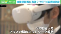 【映像】VRを使った自閉症マウスの実験