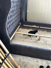 アレクサンダー『夫婦喧嘩　今日は大掃除』