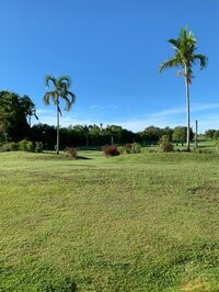 宮本奈緒子『夏休み…第2弾』