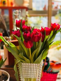 LiLiCo『チューリップが好き❤️』