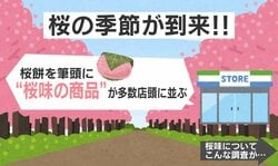 “桜味”って何？「生の桜の葉を食べても桜味はしない」…桜味を好きな割合は78%の調査結果「毎年食べてる」「買いだめする」などの声