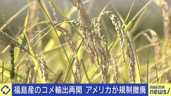 「福島で農業していること自体かわいそうと言われた」アメリカの輸入規制撤廃で何が変わる？ 福島県コメ農家の思い