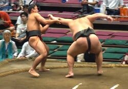 「なんだその勝ち方」元レスリング王者の力士、土俵際でマジック発動 「おぉぉ！」館内どよめき