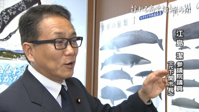 “航路は開けど、視界は不良”…商業捕鯨再開も、クジラの街・下関の関係者に残る不安 10枚目