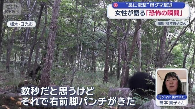 「2度目の突進で目の前に」