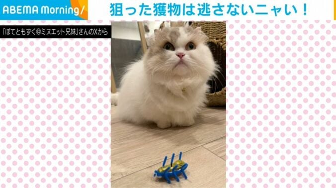 ぽてとくん