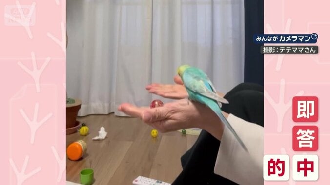 即答し、またもや的中！