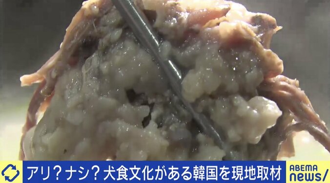 韓国では消えゆく「犬食文化」、北朝鮮では今も“夏の滋養食”? 食文化と動物愛護の境界線って 3枚目