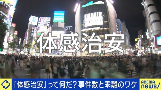 犯罪は減っているのに“体感治安”は悪化？ メディア・ネットで増幅？ 原因と対策は 「日本は“不審者に注意”と人に目を向けるがそうではない」 1枚目