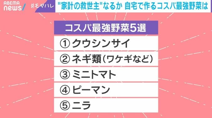 コスパ最強野菜5選