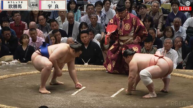 「めっちゃ目立つ」大相撲、溜まり席に存在感“ハンパない”男性著名人の姿 「視線が鋭い」ファン驚き 3枚目