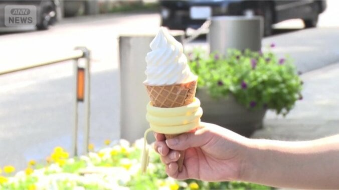 棒アイスにも対応