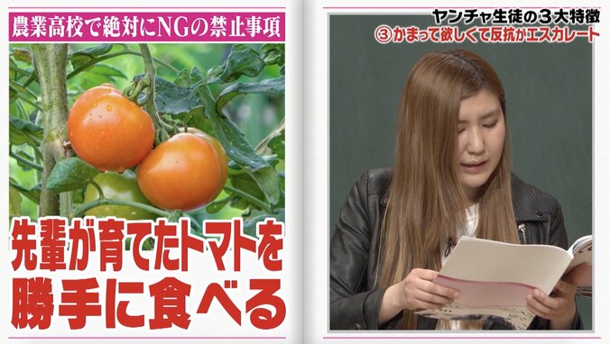 「先輩が育てたトマトを食べて退学に」納言・薄幸、しくじり学生時代を明かす 5枚目