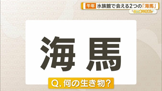 正解は「トド」