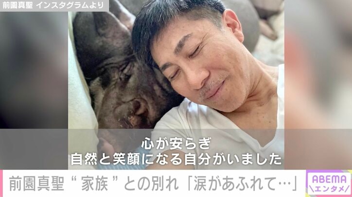 前園真聖、愛豚・セブンくんとの別れを報告「毎日、セブンを想い出し、いつも会いたくてたまらないです」