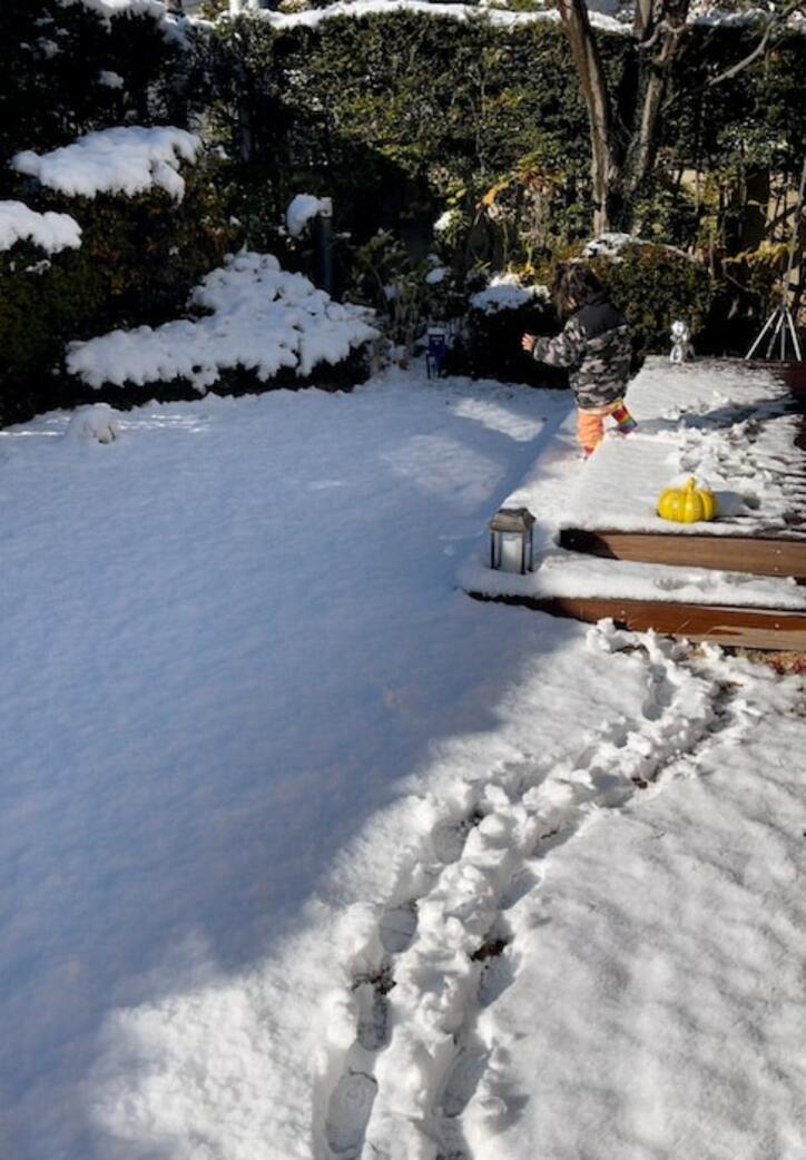  高橋真麻、娘が自宅の庭で雪遊びをしたことを報告「戸惑っていました」 