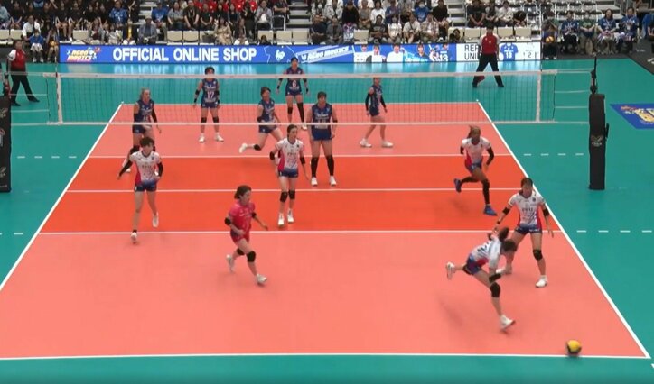 【写真・画像】　1枚目