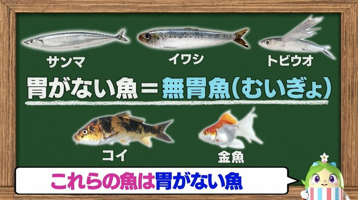 【写真・画像】　4枚目